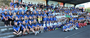vfb2 alle 300x