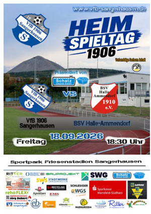 deckplatt vfb vs Ammendorf